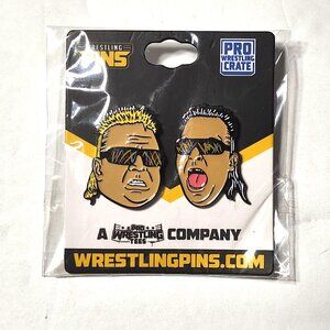 Pro Wrestling Crate Nasty Boys Brian Knobbs Jerry Sags lapel enamel pin set New
